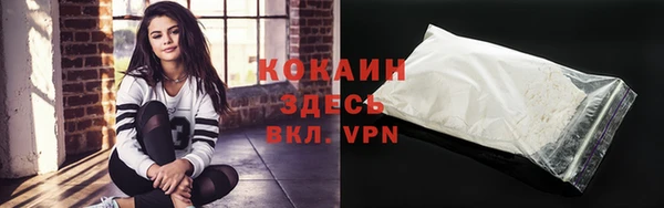 соль ск Кодинск