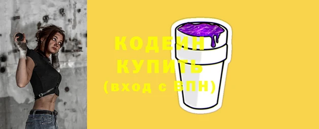 соль ск Кодинск