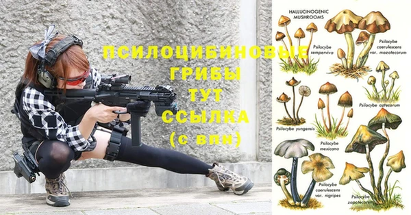 кокаин премиум Козельск