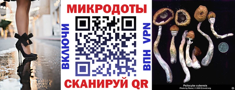Галлюциногенные грибы GOLDEN TEACHER  Ленинск-Кузнецкий 